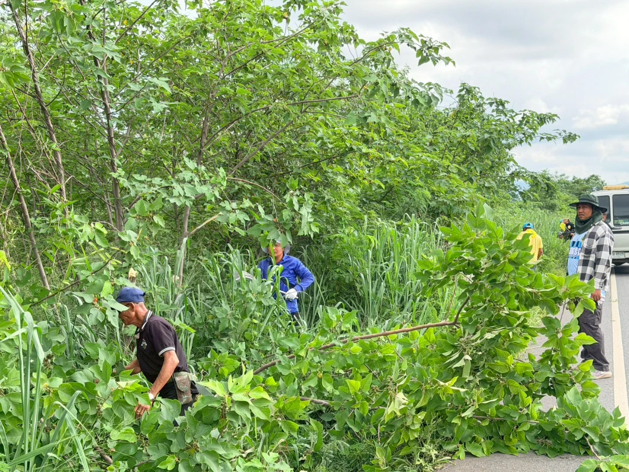 21.jpg_1780628702.webp