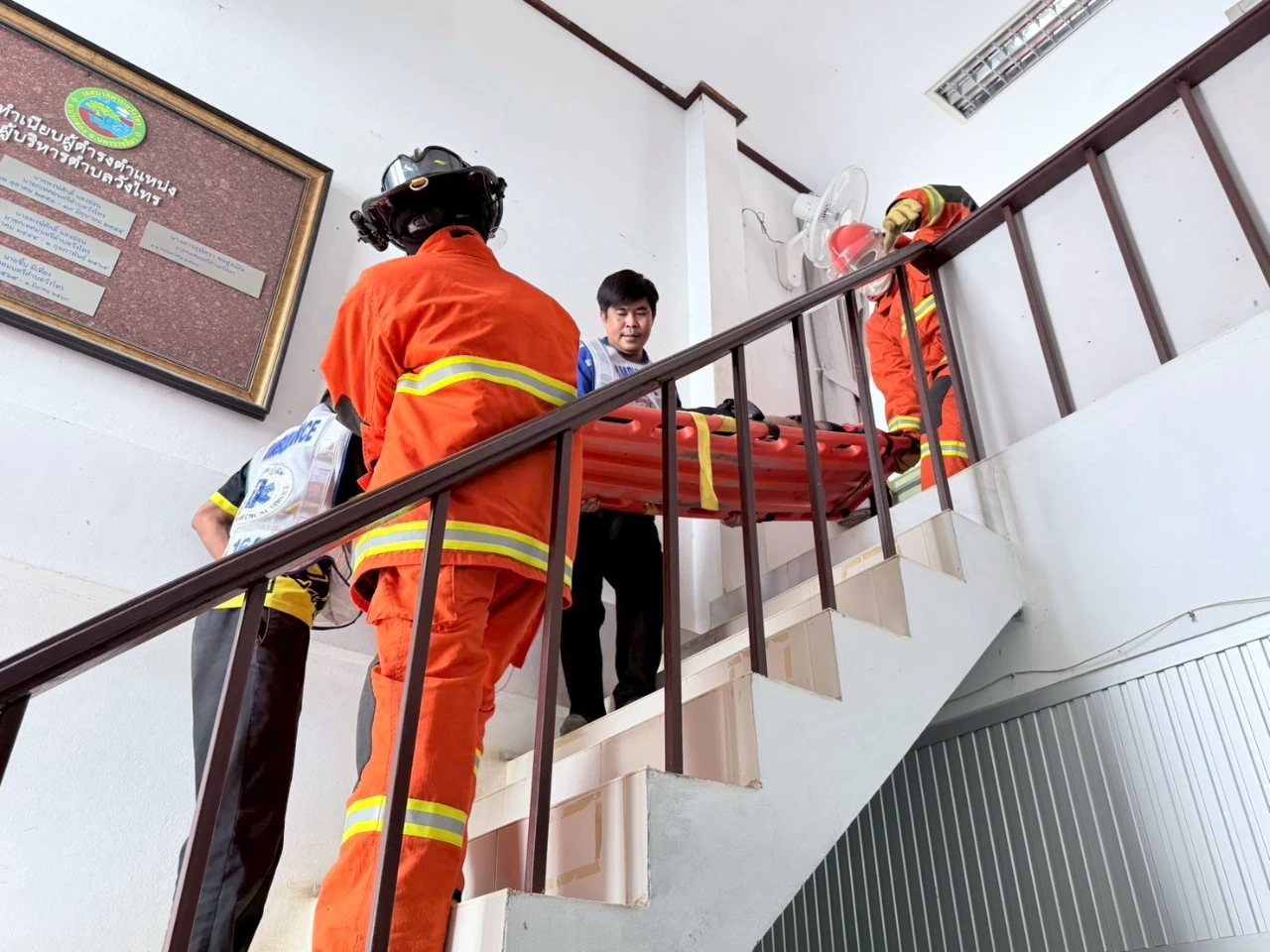 19.jpg_1774318602.webp